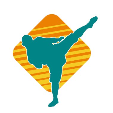 Dövüş sanatları pozu veren bir erkeğin silueti. Dövüş sanatları ustasının silueti tekme atma pozu veriyor..