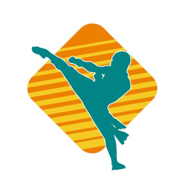 Dövüş sanatları pozu veren bir erkeğin silueti. Dövüş sanatları ustasının silueti tekme atma pozu veriyor..