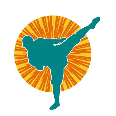 Dövüş sanatları pozu veren bir erkeğin silueti. Dövüş sanatları ustasının silueti tekme atma pozu veriyor..