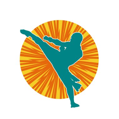 Dövüş sanatları pozu veren bir erkeğin silueti. Dövüş sanatları ustasının silueti tekme atma pozu veriyor..