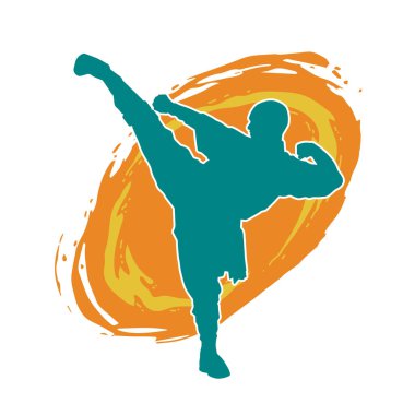 Dövüş sanatları pozu veren bir erkeğin silueti. Dövüş sanatları ustasının silueti tekme atma pozu veriyor..