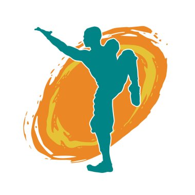 Doğu dövüş sanatı pozu veren bir adamın silueti. Dövüş sanatlarında bir erkeğin silueti..