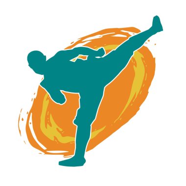 Dövüş sanatları pozu veren bir erkeğin silueti. Dövüş sanatları ustasının silueti tekme atma pozu veriyor..