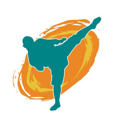 Dövüş sanatları pozu veren bir erkeğin silueti. Dövüş sanatları ustasının silueti tekme atma pozu veriyor..