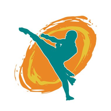 Dövüş sanatları pozu veren bir erkeğin silueti. Dövüş sanatları ustasının silueti tekme atma pozu veriyor..