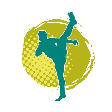 Dövüş sanatları pozu veren bir erkeğin silueti. Dövüş sanatları ustasının silueti tekme atma pozu veriyor..