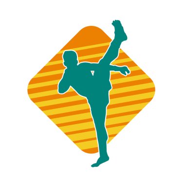 Dövüş sanatları pozu veren bir erkeğin silueti. Dövüş sanatları ustasının silueti tekme atma pozu veriyor..