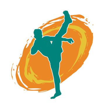 Dövüş sanatları tekmesi pozu veren bir erkek modelin silueti. Dövüş sanatlarının silueti..