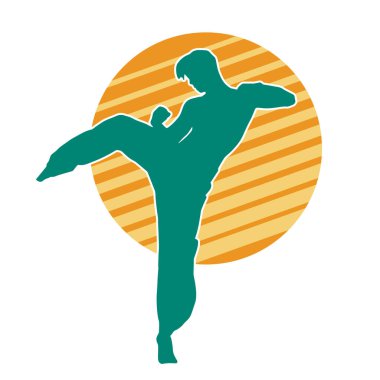 Dövüş sanatları tekmesi pozu veren bir erkek modelin silueti. Dövüş sanatlarının silueti..