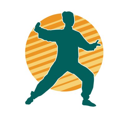 Dövüş sanatları yapan zayıf bir kadının silueti. Dövüş sanatlarında çalışan bir kadının silueti..