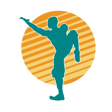 Doğu dövüş sanatı pozu veren bir adamın silueti. Dövüş sanatlarında bir erkeğin silueti..