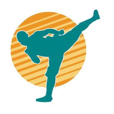 Dövüş sanatları tekmesi pozu veren bir erkek modelin silueti. Dövüş sanatlarının silueti..