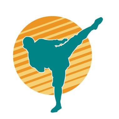 Dövüş sanatları tekmesi pozu veren bir erkek modelin silueti. Dövüş sanatlarının silueti..