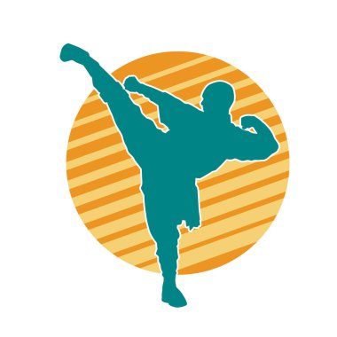 Dövüş sanatları tekmesi pozu veren bir erkek modelin silueti. Dövüş sanatlarının silueti..