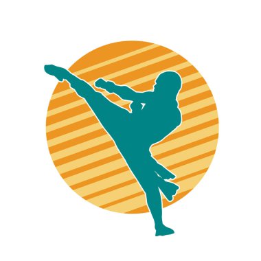 Dövüş sanatları tekmesi pozu veren bir erkek modelin silueti. Dövüş sanatlarının silueti..