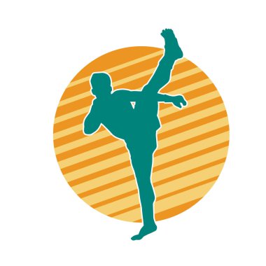 Dövüş sanatları pozu veren bir erkeğin silueti. Dövüş sanatları ustasının silueti tekme atma pozu veriyor..