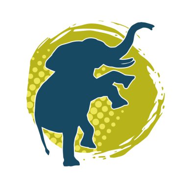 Büyük bir fil hayvanının silueti. Vahşi bir fil hayvanının silueti..