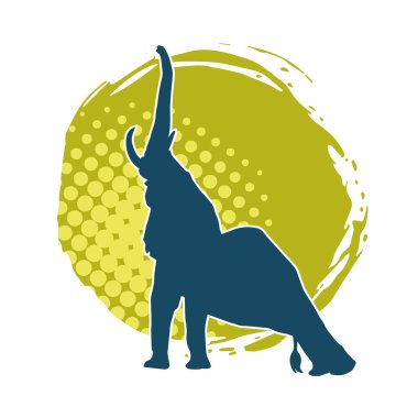 Büyük bir fil hayvanının silueti. Vahşi bir fil hayvanının silueti..