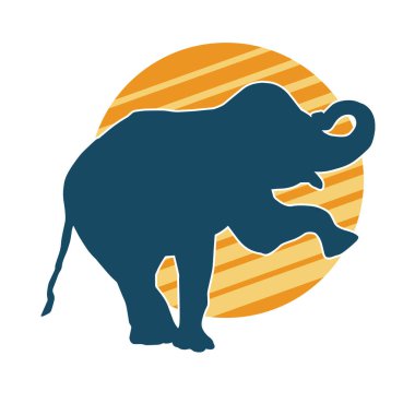 Büyük bir fil hayvanının silueti. Vahşi bir fil hayvanının silueti..