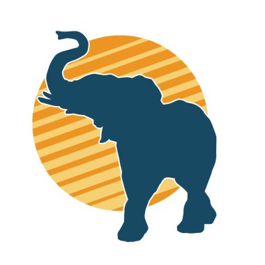 Büyük bir fil hayvanının silueti. Vahşi bir fil hayvanının silueti..