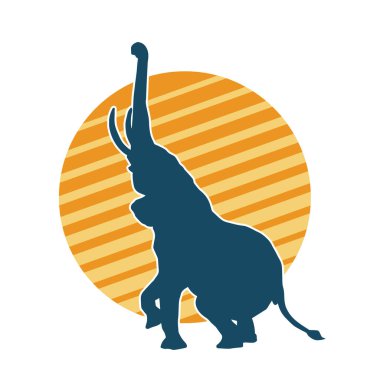 Büyük bir fil hayvanının silueti. Vahşi bir fil hayvanının silueti..