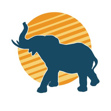 Büyük bir fil hayvanının silueti. Vahşi bir fil hayvanının silueti..