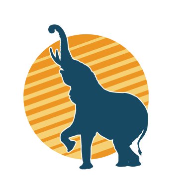 Büyük bir fil hayvanının silueti. Vahşi bir fil hayvanının silueti..