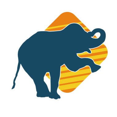 Büyük bir fil hayvanının silueti. Vahşi bir fil hayvanının silueti..