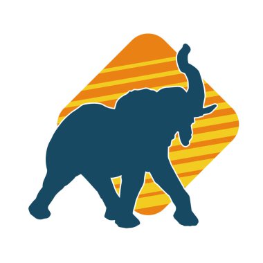 Büyük bir fil hayvanının silueti. Vahşi bir fil hayvanının silueti..