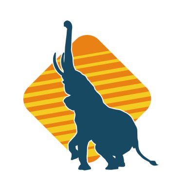 Büyük bir fil hayvanının silueti. Vahşi bir fil hayvanının silueti..