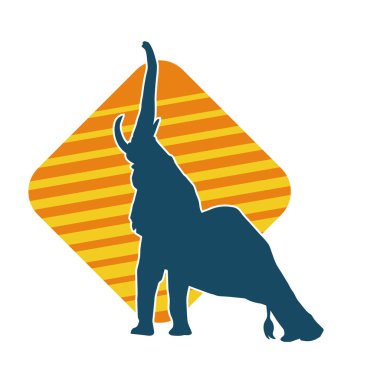 Büyük bir fil hayvanının silueti. Vahşi bir fil hayvanının silueti..