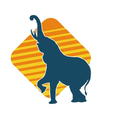 Büyük bir fil hayvanının silueti. Vahşi bir fil hayvanının silueti..