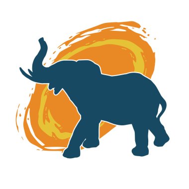 Büyük bir fil hayvanının silueti. Vahşi bir fil hayvanının silueti..