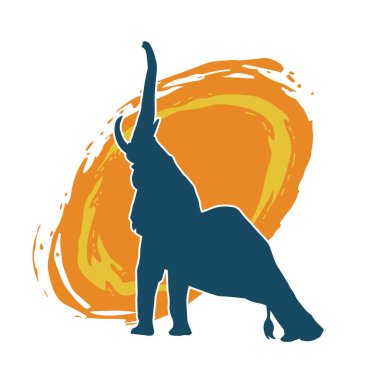 Büyük bir fil hayvanının silueti. Vahşi bir fil hayvanının silueti..