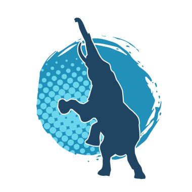 Büyük bir fil hayvanının silueti. Vahşi bir fil hayvanının silueti..