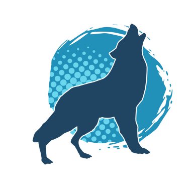 Kafasını kaldıran vahşi bir kurdun silueti.