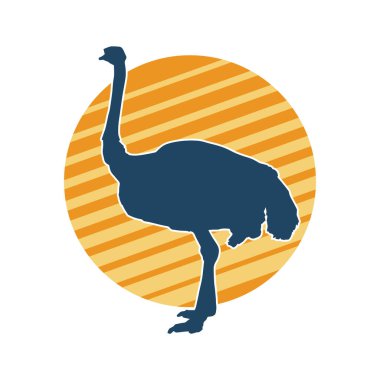 Devekuşu kuşunun silueti.