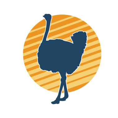 Devekuşu kuşunun silueti.