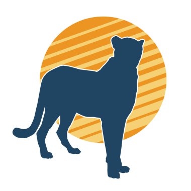 Dişi aslanların silueti.