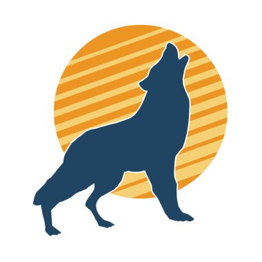 Kafasını kaldıran vahşi bir kurdun silueti.