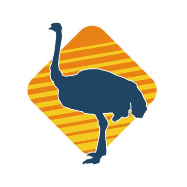 Devekuşu kuşunun silueti.