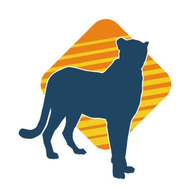 Dişi aslanların silueti.