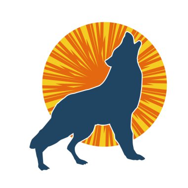 Kafasını kaldıran vahşi bir kurdun silueti.