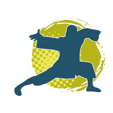 Doğu dövüş sanatı pozu veren bir adamın silueti. Dövüş sanatlarında bir erkeğin silueti..