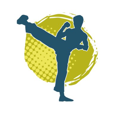 Dövüş sanatları pozu veren bir erkeğin silueti. Dövüş sanatları ustasının silueti tekme atma pozu veriyor..