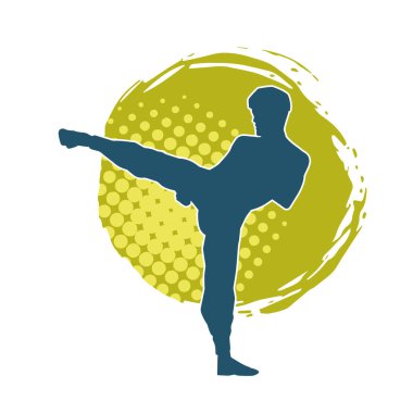 Dövüş sanatları pozu veren bir erkeğin silueti. Dövüş sanatları ustasının silueti tekme atma pozu veriyor..