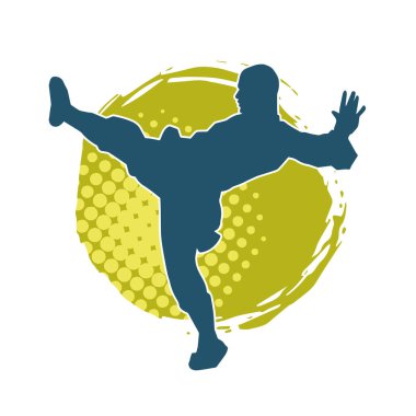 Dövüş sanatları pozu veren bir erkeğin silueti. Dövüş sanatları ustasının silueti tekme atma pozu veriyor..