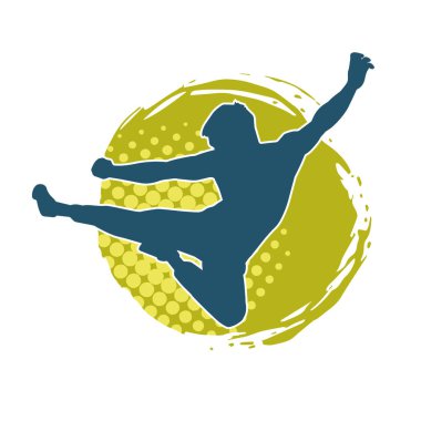 Dövüş sanatları pozu veren bir erkeğin silueti. Dövüş sanatları ustasının silueti tekme atma pozu veriyor..