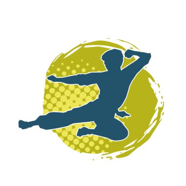 Dövüş sanatları pozu veren bir erkeğin silueti. Dövüş sanatları ustasının silueti tekme atma pozu veriyor..