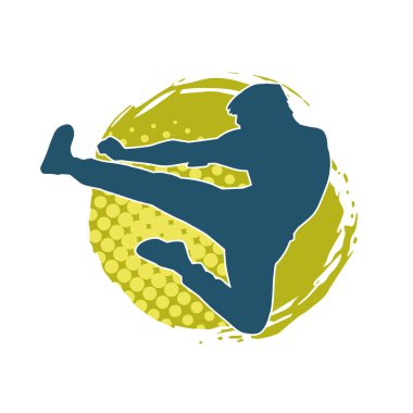 Dövüş sanatları pozu veren bir erkeğin silueti. Dövüş sanatları ustasının silueti tekme atma pozu veriyor..